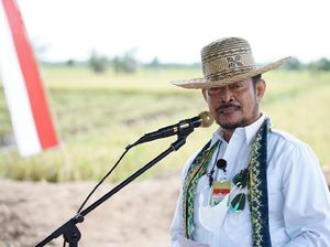Guru Besar Unhas Kritik Mentan SYL Melamar Profesor Kehormatan: Tidak Etis