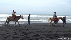 Foto: Bukan Turis Berjemur, Pantai Ini Isinya Malah Orang Berkuda