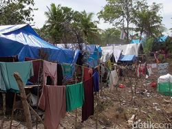 Korban Gempa Majene Masih Mengungsi, Harap Pemerintah Relokasi