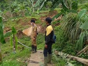Sawah Terdampak Pergerakan Tanah, Petani Cianjur Terancam Gagal Panen