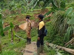 Sawah Terdampak Pergerakan Tanah, Petani Cianjur Terancam Gagal Panen