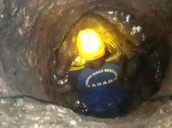 Sapi Terperosok Sumur di Pangandaran Bikin Kaget Warga