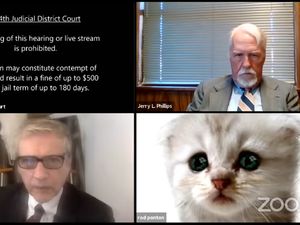 Kocak! Pengacara Ini Pakai Filter Kucing Saat Sidang Online di Zoom