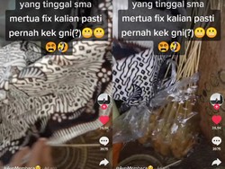 Wanita Ini Dicap Pelit Karena Sembunyikan Makanan dari Mertua