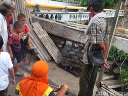 Ular Sanca Ditemukan di Menteng, Kini Jadi Tontonan Warga