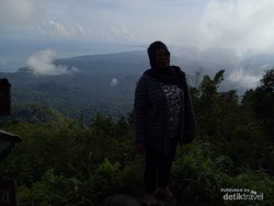 Pelapor Greenpeace Cabut Aduan, Khawatir Jokowi Cap Anti Kritik