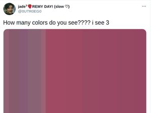 Tes Kejelian Mata, Ada Berapa Warna yang Kamu Lihat?