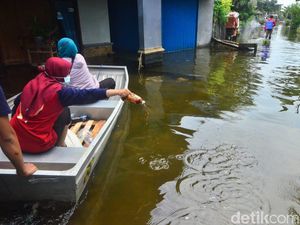 Banjir Berwarna Hitam dan Berbau Busuk di Kudus Disemprot Eco Enzyme Banjir Berwarna Hitam dan Berbau Busuk di Kudus Disemprot Eco Enzyme