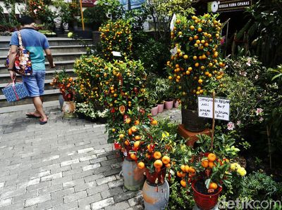 Berburu Kebutuhan Imlek di Pancoran Glodok