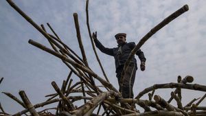 Geliat Kebun Tebu di Pedesaan Terpencil India