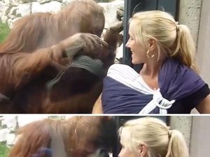 Foto: Gemas, Saat Hewan Juga Bertingkah Seperti Manusia