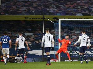 Tottenham Disingkirkan Everton, Hugo Lloris Letoy!