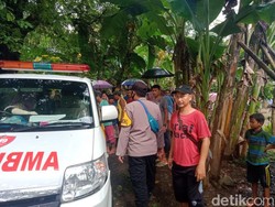 Cari Kerang di Muara, Ibu Pandeglang Terluka Parah Diterkam Buaya