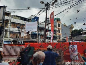 Sambut Tahun Kerbau, Ratusan Burung Pipit Dilepas di Glodok Sambut Tahun Kerbau, Ratusan Burung Pipit Dilepas di Glodok