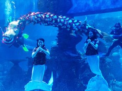 Imlek, Bisa Lihat Liong Bawah Air dan Putri Duyung di Tempat Ini