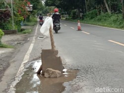 Jalan Pangandaran-Cijulang Rusak, Keselamatan Pengendara Terancam