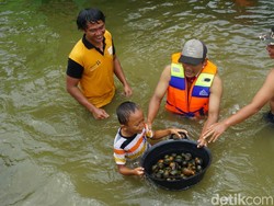 Kebanjiran, Pemuda Ini Malah Bisa Dapatkan Keong Emas 2 Kg Sehari