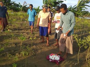 Kronologi Puluhan Butir Diduga Telur Buaya Ditemukan Dekat Bengawan Solo