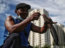 Minggu Wage 8 Mei 2022: Weton Penyabar, Baik untuk Berburu