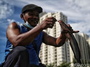 Minggu Wage 8 Mei 2022: Weton Penyabar, Baik untuk Berburu Minggu Wage 8 Mei 2022: Weton Penyabar, Baik untuk Berburu