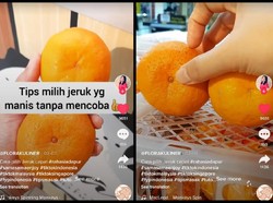 Tips Memilih Jeruk Mandarin yang Manis Tanpa Harus Mencicipi
