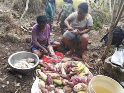 Ini Rahasia Orang Pegunungan Papua Tetap Sehat dan Fit