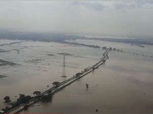 Banjir Terjang Subang, Puluhan Ribu Hektare Sawah dan Tambak Terdampak Banjir Terjang Subang, Puluhan Ribu Hektare Sawah dan Tambak Terdampak