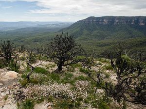 Arkeolog Temukan Lokasi Tinggal Penduduk Pertama Australia, di Mana?