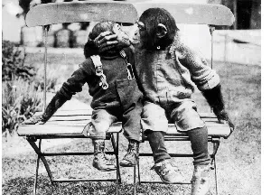 Kumpulan Foto Manis Saat Hewan Tunjukkan Kasih Sayang