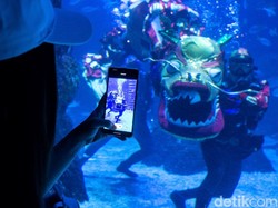 Jakarta Aquarium Hadirkan Cap Go Meh di Bawah Air