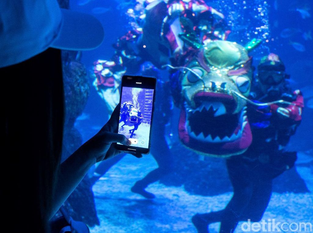 Jakarta Aquarium Hadirkan Cap Go Meh di Bawah Air Jakarta Aquarium Hadirkan Cap Go Meh di Bawah Air