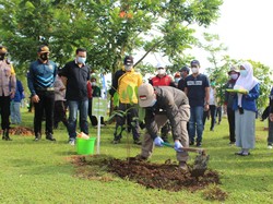 Hari Terakhir Jadi Gubernur Kalsel, Paman Birin Tanam Pohon di Kantor Setda