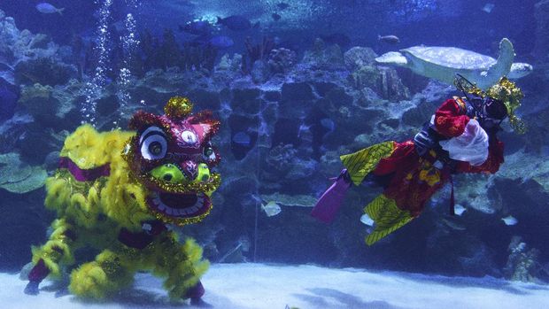 Divers perform an underwater lion dance at the KLCC Aquaria during Chinese Lunar New Year celebrations in Kuala Lumpur, Friday, Feb. 12, 2021. (AP Photo/Vincent Thian)