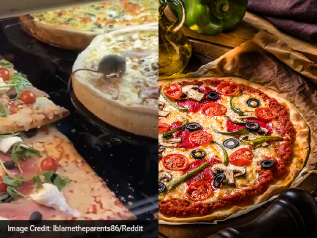 Jijik! Dua Ekor Tikus Tertangkap Basah Makan Pizza di dalam Etalase Resto