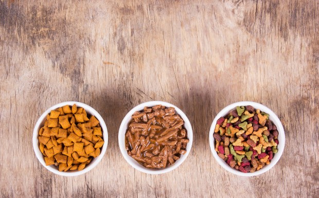 Tips Street Feeding untuk Kucing Liar/sumber: freepik.com/ Menyiapkan makanan basah dan kering untuk kucing.