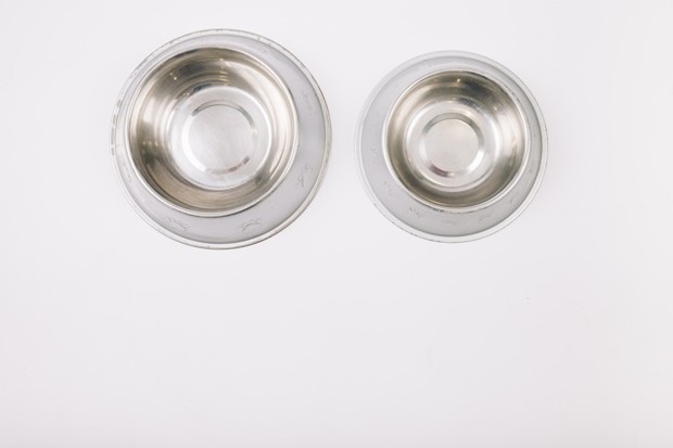 Tips Street Feeding untuk Kucing Liar/sumber: freepik.com/ Menyiapkan wadah khusus untuk minum kucing.