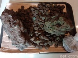 Koin Kuno Ini Diteliti di Banyuwangi, Diduga Peninggalan Zaman Dinasti Sung