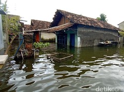 2 Pekan Banjir Berwarna Hitam di Kudus, Warga Pakai Air Hujan untuk Minum