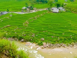 Berkat Food Estate, Sumba Tengah Tak Lagi Jadi Kabupaten Termiskin