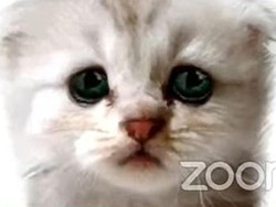 Wajah Berubah Jadi Kucing Saat Sidang Online via Zoom, Pengacara Texas Viral
