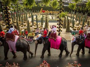 Hari Kasih Sayang, Pasangan di Thailand Antusias Ikut Nikah Massal