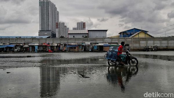 Ini Kampung di Jakut yang Selalu Diterjang Banjir Rob