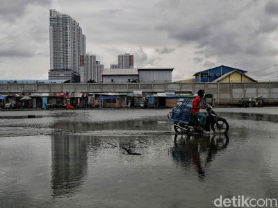 Ini Kampung di Jakut yang Selalu Diterjang Banjir Rob