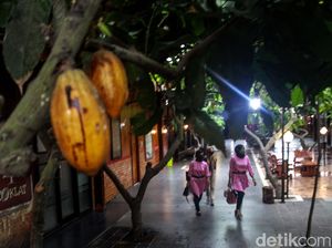 Kampung Coklat Ini Ada di Blitar Lho Gaes
