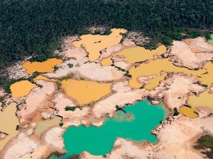 NASA Ungkap Foto-Foto Tambang Emas Ilegal di Amazon