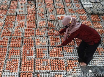Memutus Rantai Panjang Distribusi Telur