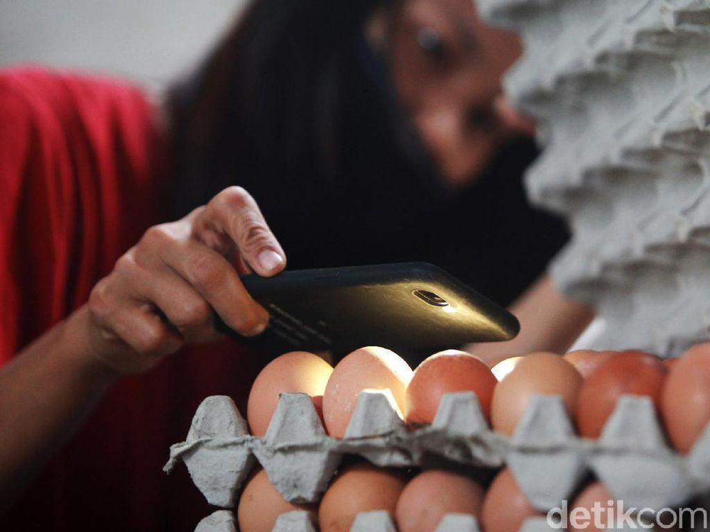 Produk Telur Berpeluang Tembus Pasar Ekspor, Asalkan...