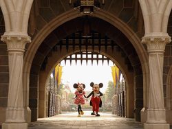 Tragis, Jatuh dari Parkiran Disneyland, Pengunjung Meninggal