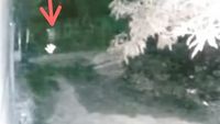 Penampakan Lokasi Pocong di Sulsel Lari Terbirit-birit Dikejar Anjing