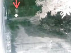 Analisis Polisi soal Pocong Dikejar Anjing: Candaan untuk Takuti Orang